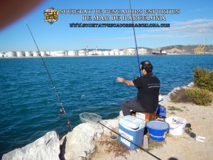 6è_concurs_mar_costa_2017_Port_Barcelona_26(www.societatpescadorsbarcelona.com)