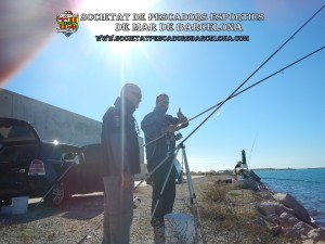 6è_concurs_mar_costa_2017_Port_Barcelona_27(www.societatpescadorsbarcelona.com)