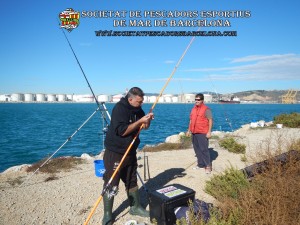 6è_concurs_mar_costa_2017_Port_Barcelona_29(www.societatpescadorsbarcelona.com)