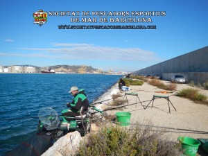 6è_concurs_mar_costa_2017_Port_Barcelona_33(www.societatpescadorsbarcelona.com)