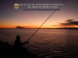 Aplec_pesca_Port_de_Barcelona_11_11_2017_01(www.societatpescadorsbarcelona.com)