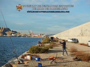 Aplec_pesca_Port_de_Barcelona_11_11_2017_03(www.societatpescadorsbarcelona.com)