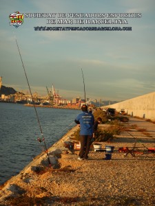 Aplec_pesca_Port_de_Barcelona_11_11_2017_09(www.societatpescadorsbarcelona.com)
