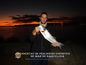 Aplec_pesca_Port_de_Barcelona_11_11_2017_18(www.societatpescadorsbarcelona.com)