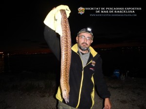 Aplec_pesca_Port_de_Barcelona_11_11_2017_21(www.societatpescadorsbarcelona.com)