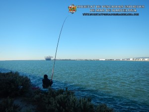 Aplec_pesca_Port_de_Barcelona_03_12_2017_06(www.societatpescadorsbarcelona.com)