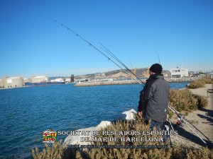 Aplec_pesca_Port_de_Barcelona_03_12_2017_12(www.societatpescadorsbarcelona.com)