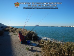 Aplec_pesca_Port_de_Barcelona_03_12_2017_16(www.societatpescadorsbarcelona.com)