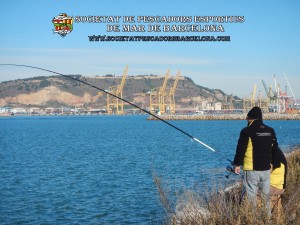 Aplec_pesca_Port_de_Barcelona_03_12_2017_33(www.societatpescadorsbarcelona.com)