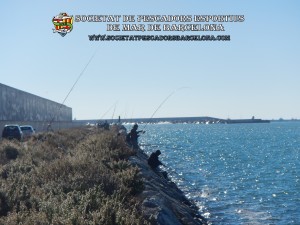 Aplec_pesca_Port_de_Barcelona_03_12_2017_37(www.societatpescadorsbarcelona.com)