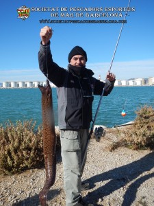 Aplec_pesca_Port_de_Barcelona_03_12_2017_38(www.societatpescadorsbarcelona.com)