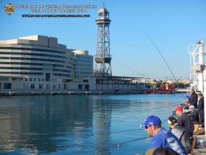 4t_concurs_de_les_espècies_2018_07_(www.societatpescadrosbarcelona.com)