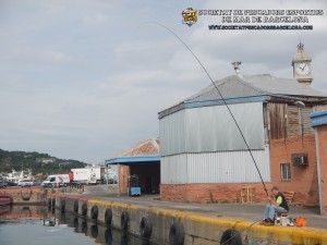 Aplec_Port_de_Barcelona_10-06-2018_15_(www.societatpescadorsbarcelona.com)