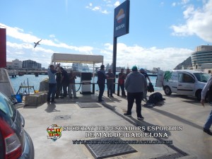 4t_concurs_Mar_Costa_2018_Port_de_Barcelona_16_(www.societatpescadorsbarcelona)