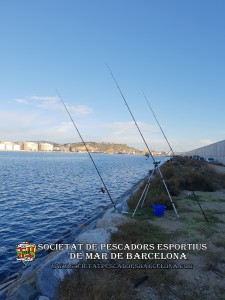 6e_concurs_mar_costa_2018_Dic_de_l'Est_Port_de_Barcelona_05(www.societatpescadorsbarcelona.com)