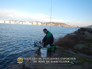 6e_concurs_mar_costa_2018_Dic_de_l'Est_Port_de_Barcelona_11(www.societatpescadorsbarcelona.com)