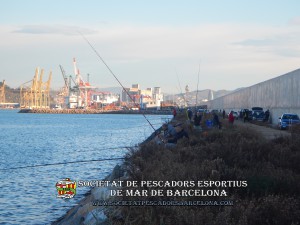 6e_concurs_mar_costa_2018_Dic_de_l'Est_Port_de_Barcelona_12(www.societatpescadorsbarcelona.com)