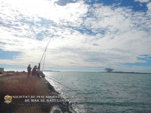 6e_concurs_mar_costa_2018_Dic_de_l'Est_Port_de_Barcelona_31(www.societatpescadorsbarcelona.com)