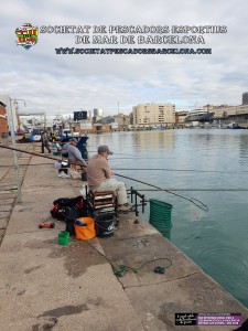 78e_Concurs_de_pavo_Port_de_Barcelona_2018_19(www.societatpescadorsbarcelona.com)