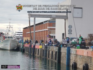 78e_Concurs_de_pavo_Port_de_Barcelona_2018_20(www.societatpescadorsbarcelona.com)