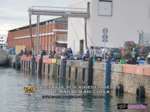 78e_Concurs_de_pavo_Port_de_Barcelona_2018_32(www.societatpescadorsbarcelona.com)