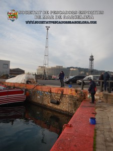 79e_concurs_burret_i_especies_2019_18_(www.societatpescadorsbarcelona.com)