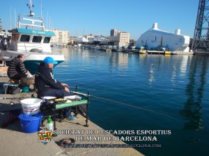 79e_concurs_burret_i_especies_2019_27_(www.societatpescadorsbarcelona.com)