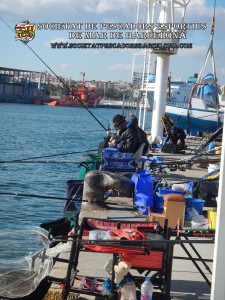 79e_concurs_burret_i_especies_2019_40_(www.societatpescadorsbarcelona.com)