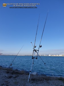 Aplec_Port_de_Barcelona_17-02-2019_03_(www.societatpescadorsbarcelona.com)