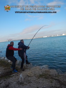 Aplec_Port_de_Barcelona_17-02-2019_11_(www.societatpescadorsbarcelona.com)