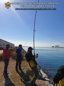 Aplec_Port_de_Barcelona_17-02-2019_41_(www.societatpescadorsbarcelona.com)