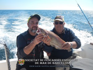 3r_concurs_embarcacio_fondejada_2019_24(www.societatpescadorsbarcelona.com)