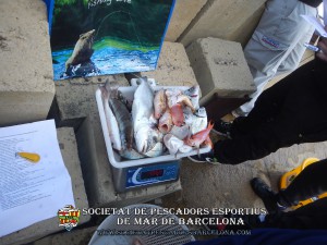 3r_concurs_embarcacio_fondejada_2019_29(www.societatpescadorsbarcelona.com)