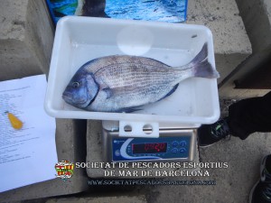 3r_concurs_embarcacio_fondejada_2019_30(www.societatpescadorsbarcelona.com)