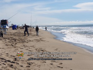 1r_concurs_mar_costa_2019_Prat_de_Llobregat_11(www.societatpescadorsbarcelona.com)