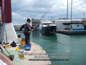 Aplec_Port_de_Barcelona_26-05-2019_20_(www.societatpescadorsbarcelona.com)