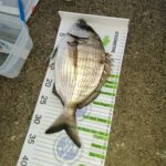 2a Jornada de pesca científica 2023 - APC Barcelona 18 de març del 2023
